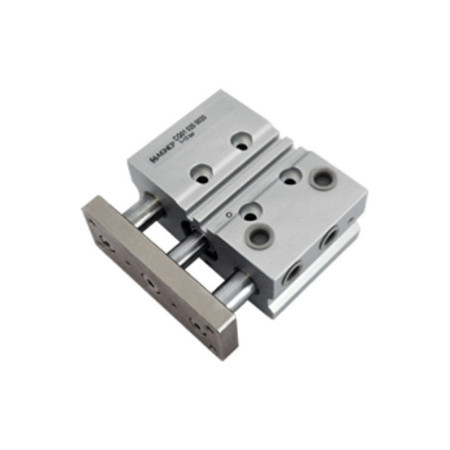 CILINDRO AIGNEP COMPACTO GUIADO CG01 DEM 16X75  CASQUILLO BRONCE