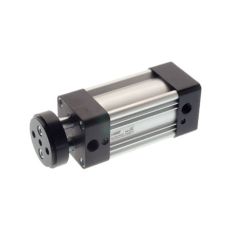 CILINDRO AIGNEP NHA A32XC250 SAG VASTAGOS GEMELOS