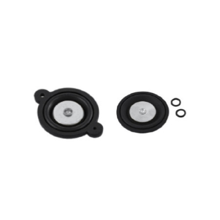 MEMBRANA Y JUNTA TORICA FKM 1/4" INOX AIGNEP