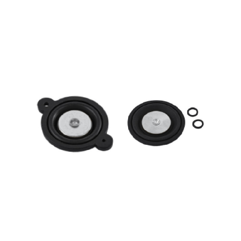 MEMBRANA Y JUNTA TORICA FKM 3/8" 1/2" D12MM INOX AIGNEP