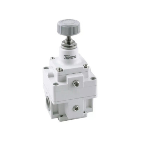 REGULADOR AIGNEP PRECISION 2 1/4 0-4 BAR